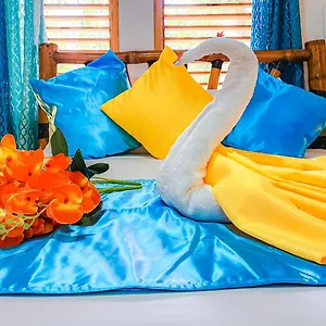 https://paradiso-del-caribe.comcaribbean.com